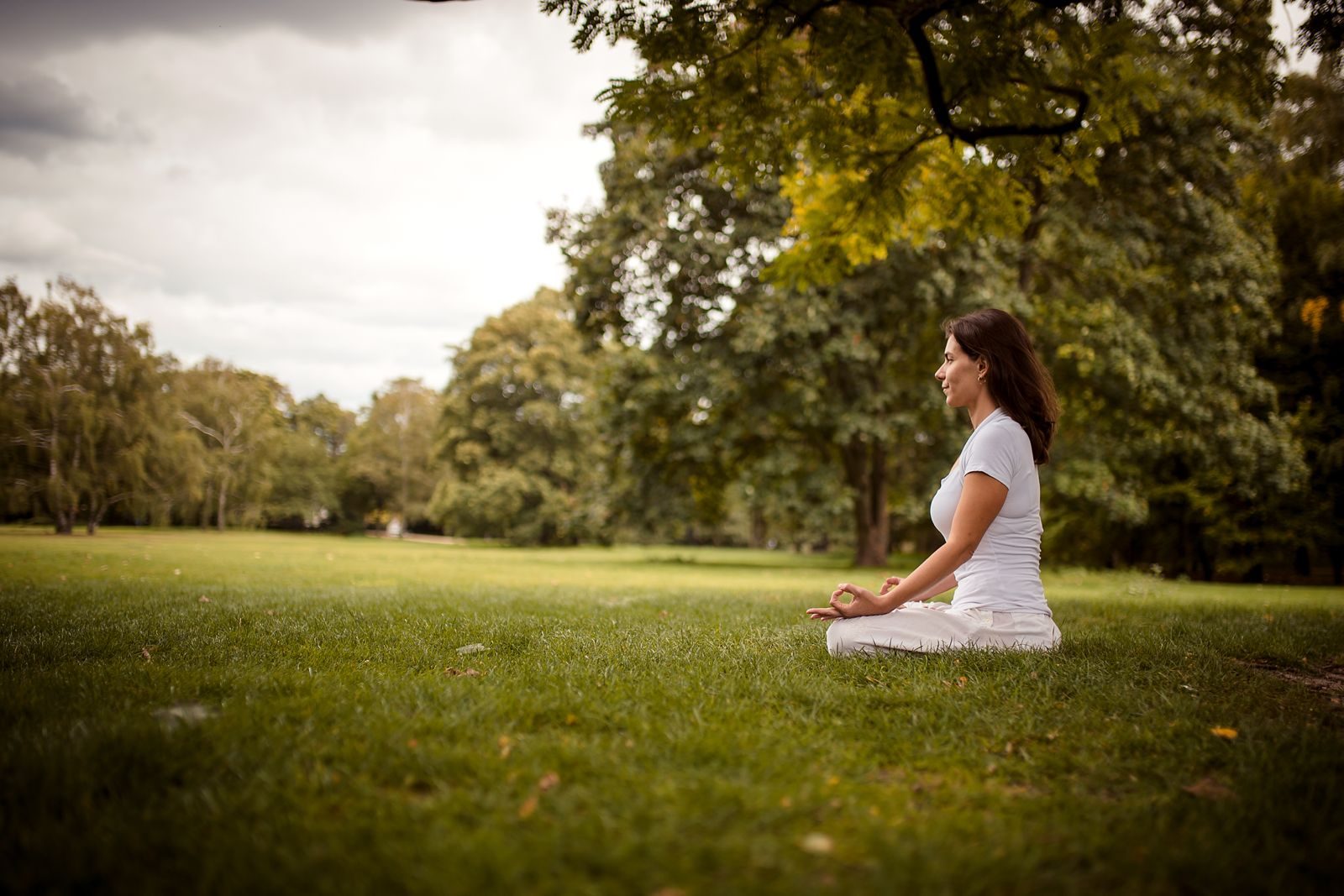 Shila Morelli seduta in meditazione all'ombra di un albero